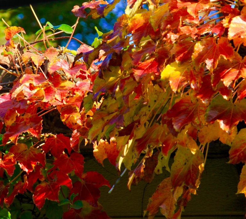 a0248459_15110877.jpg