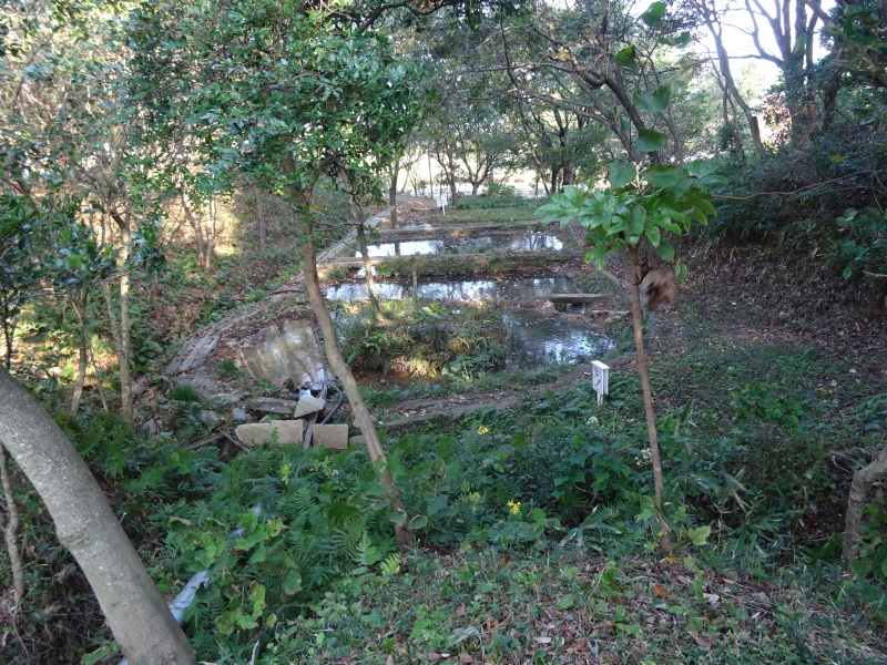 c0108460_19505148.jpg