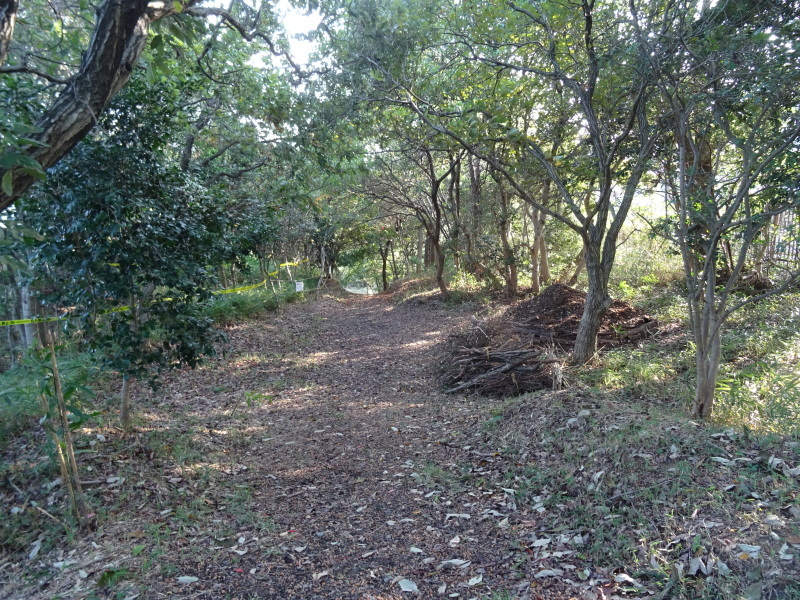 c0108460_19520329.jpg