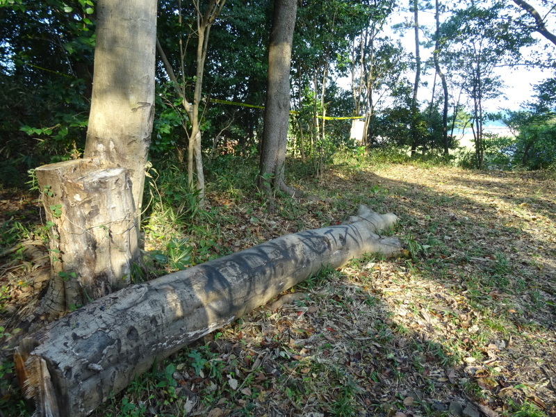 c0108460_19523620.jpg