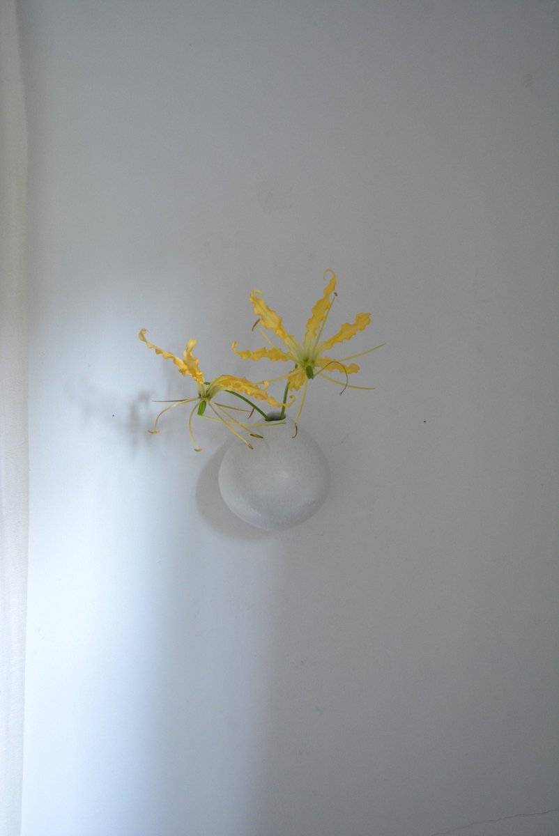 「田淵太郎展 幽玄白磁」花_d0087761_21477.jpg
