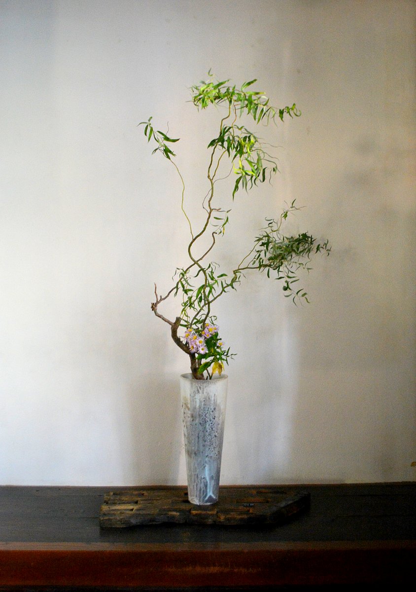「田淵太郎展 幽玄白磁」花_d0087761_2393897.jpg