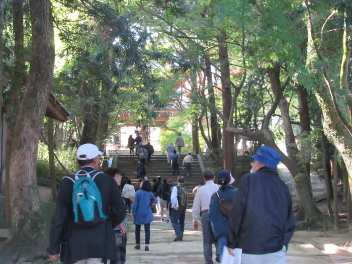 f0113862_17581703.jpg