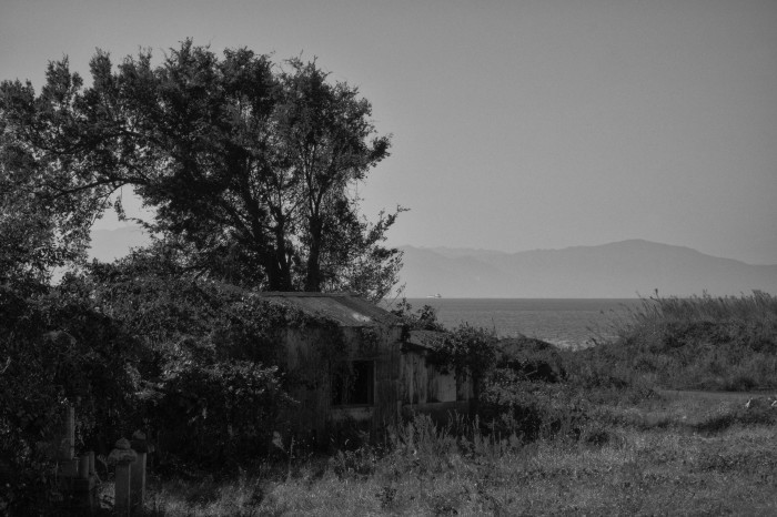d0349265_10045438.jpg