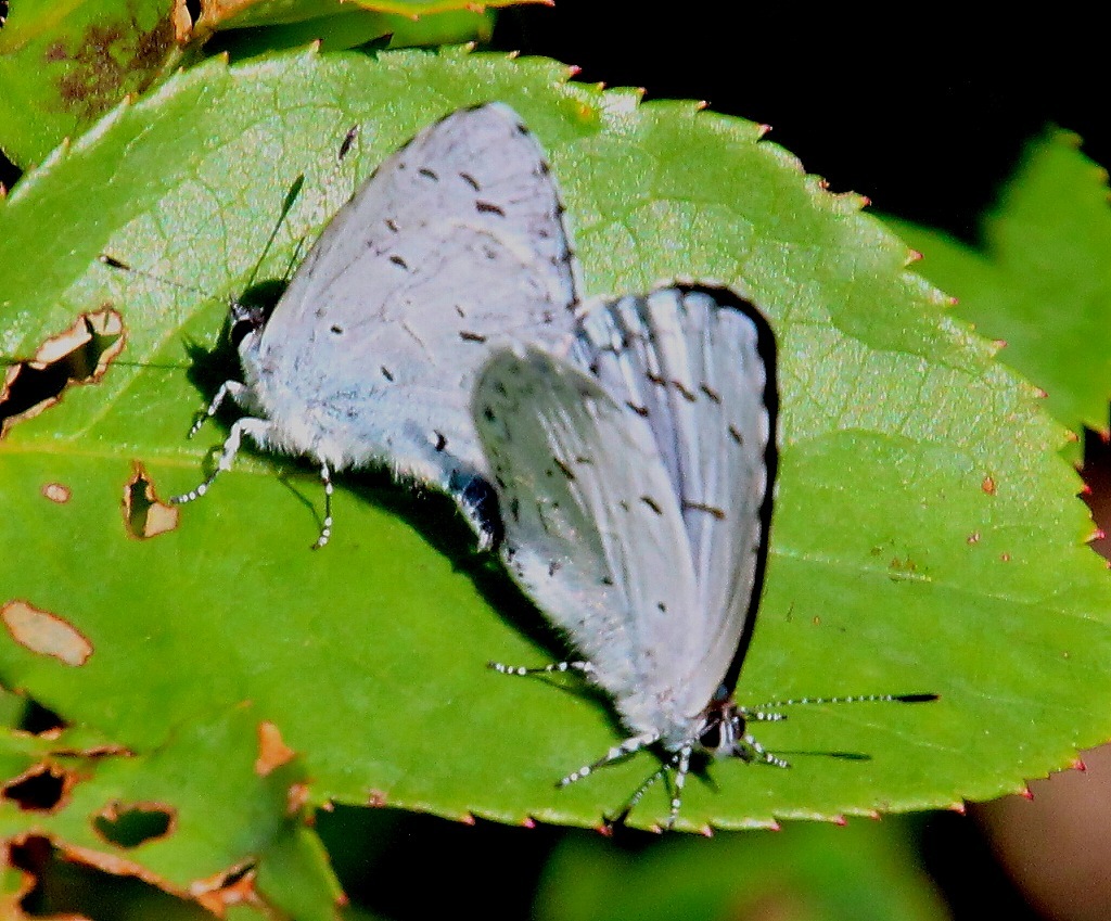 b0320769_15142792.jpg