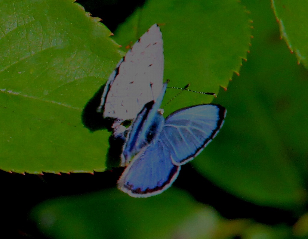 b0320769_15150043.jpg