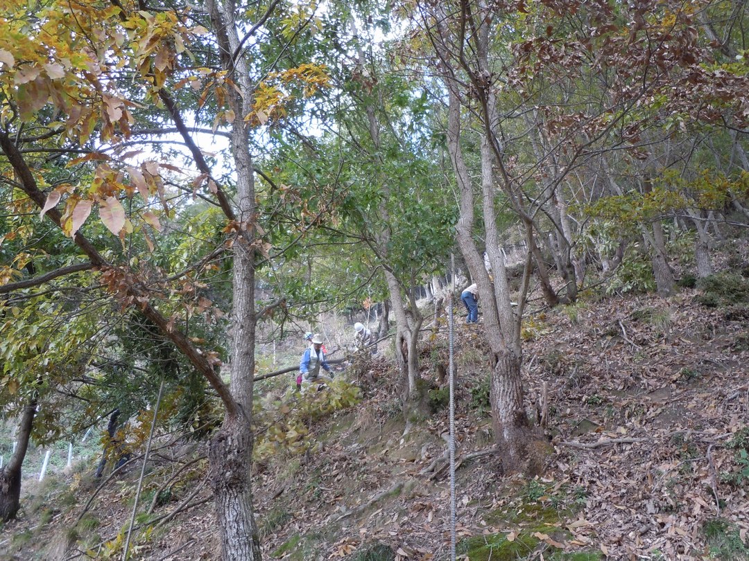 b0102572_14192384.jpg