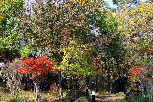 塚原・野の花（ののか）_b0088173_18211753.jpg