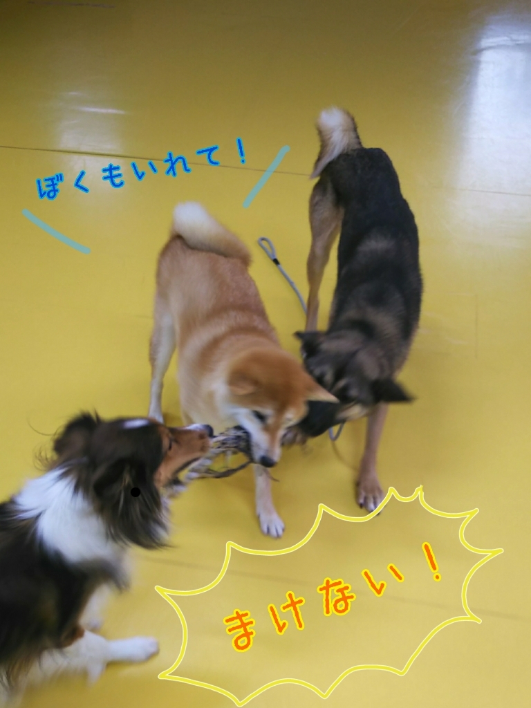 トレーニングブログ_f0357682_20384426.jpg