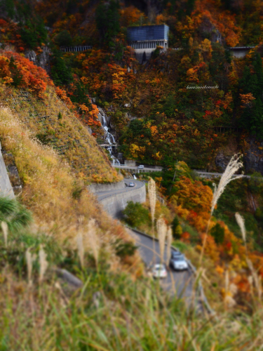 f0357183_20013179.jpg