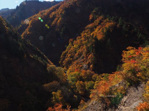 f0357183_20101559.jpg