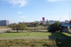 d0183387_18480945.jpg