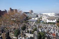 d0183387_19344587.jpg
