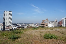 d0183387_19345098.jpg