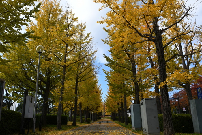 a0127090_21441636.jpg
