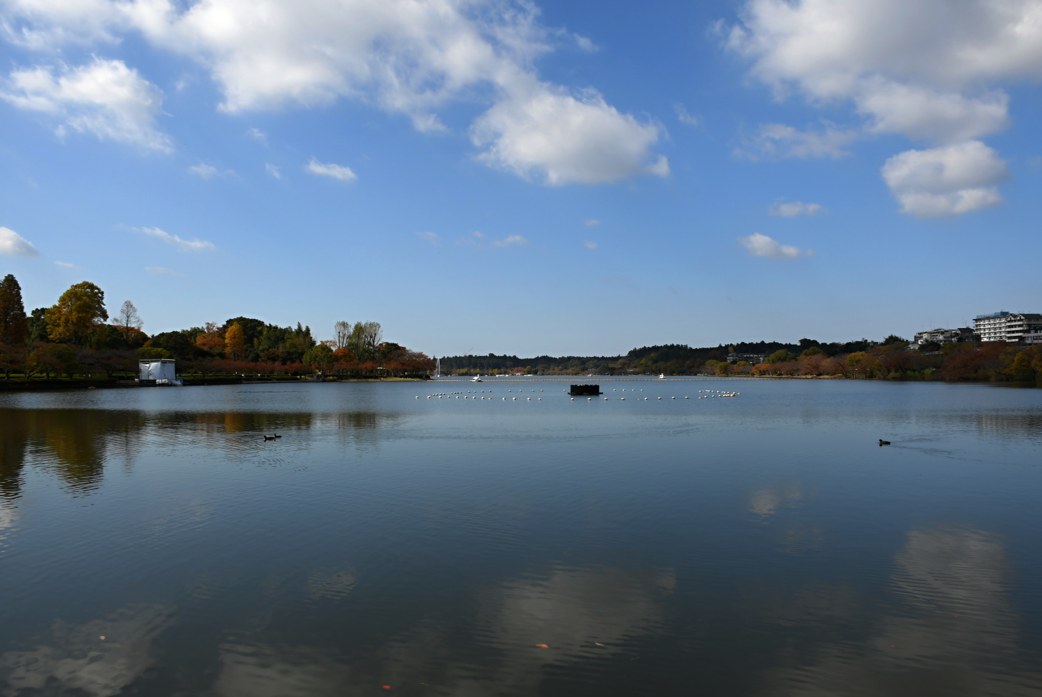 a0127090_21442570.jpg