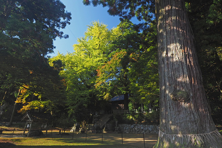 17.11.05：雷山千如寺と雷神社で紅葉散歩４_c0007190_19144155.jpg