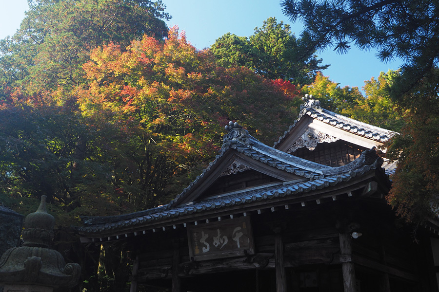 17.11.05：雷山千如寺と雷神社で紅葉散歩４_c0007190_19152854.jpg