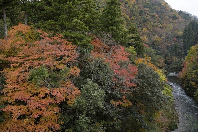 d0234293_16485430.jpg
