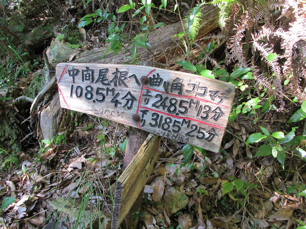 a0166196_20535817.jpg