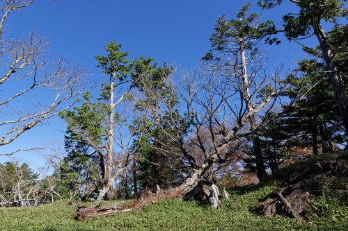 e0366896_15012031.jpg