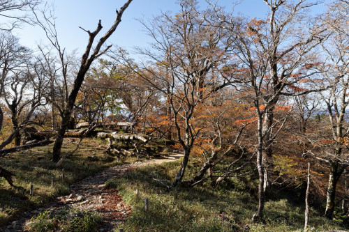 e0366896_15014329.jpg