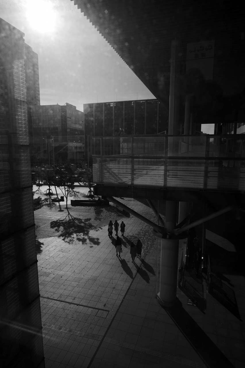 c0082800_20334131.jpg