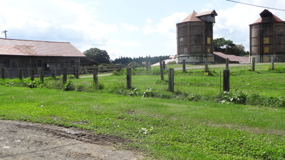 f0337700_01063117.jpg