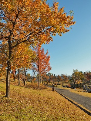 八色の森公園の秋散歩_c0336902_20412598.jpg