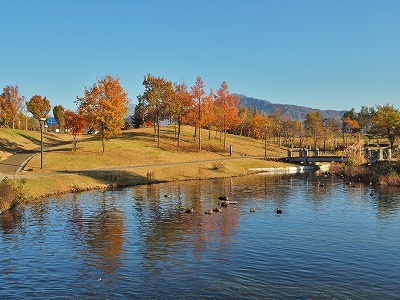 c0336902_20413485.jpg