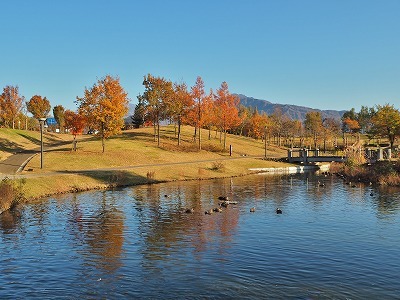 八色の森公園の秋散歩_c0336902_20413485.jpg