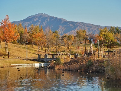 八色の森公園の秋散歩_c0336902_20413948.jpg