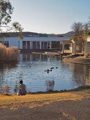 八色の森公園の秋散歩_c0336902_20414364.jpg