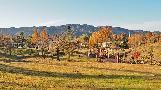 八色の森公園の秋散歩_c0336902_20420366.jpg