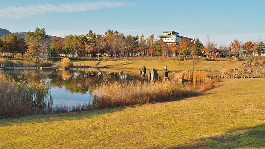 八色の森公園の秋散歩_c0336902_20421387.jpg