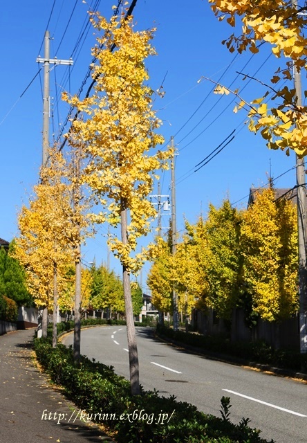 a0123003_21234017.jpg