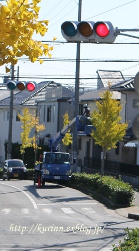 a0123003_21334351.jpg