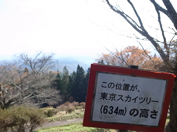 弥高山～夫婦岩＠岡山県高梁市_f0197703_17412210.jpg