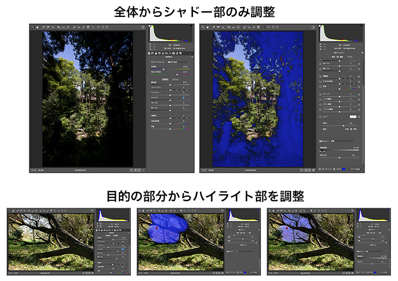 Lightroom Classic Cc 範囲マスク 色 輝度範囲マスク の使い方 Cameraraw新機能 Lightcrew Digital Note