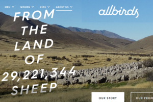 今、ニューヨークで注目の靴屋さん、羊毛シューズのオールバーズ Allbirds_b0007805_22134536.jpg