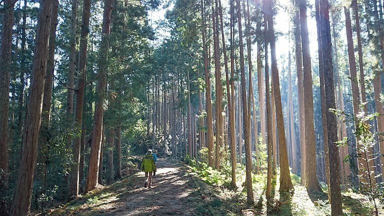 熊野古道の旅　その2・熊野古道と大台ケ原_b0172805_20380876.jpg