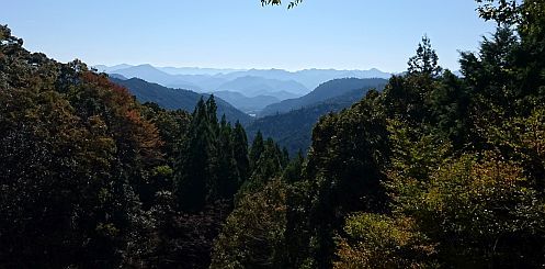 熊野古道の旅　その2・熊野古道と大台ケ原_b0172805_20510317.jpg