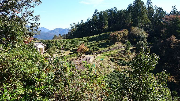 b0172805_20512145.jpg