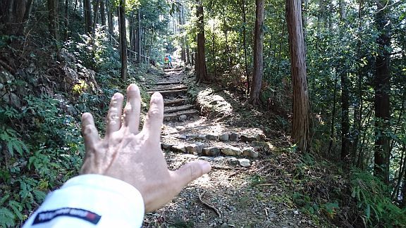 熊野古道の旅　その2・熊野古道と大台ケ原_b0172805_21014527.jpg