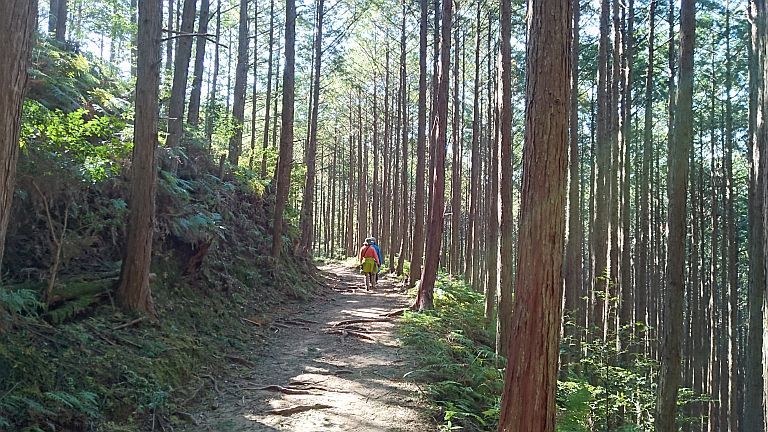 熊野古道の旅　その2・熊野古道と大台ケ原_b0172805_21040074.jpg