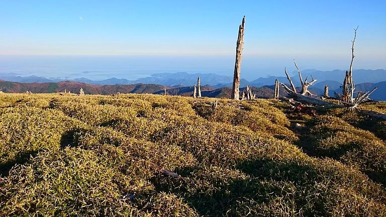 熊野古道の旅　その2・熊野古道と大台ケ原_b0172805_21171549.jpg