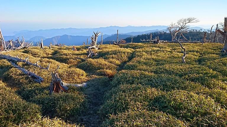 熊野古道の旅　その2・熊野古道と大台ケ原_b0172805_21210676.jpg