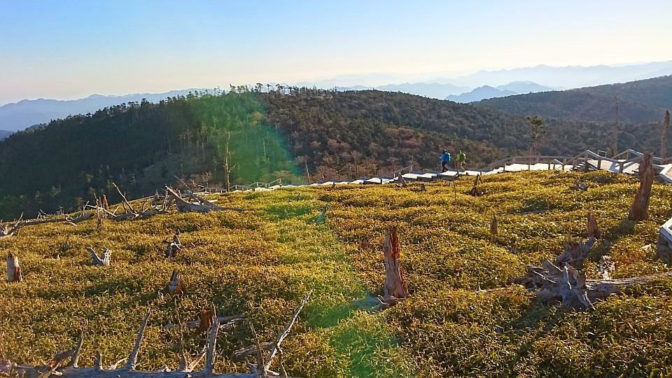 熊野古道の旅　その2・熊野古道と大台ケ原_b0172805_21234489.jpg