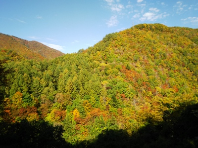b0040606_20423576.jpg