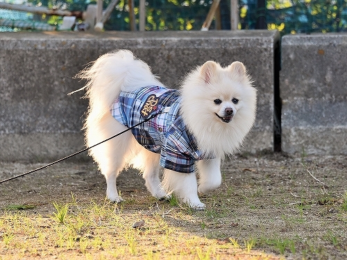 証拠ならある!!_d0360206_00510380.jpg